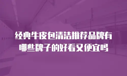 经典牛皮包清洁推荐品牌有哪些牌子的好看又便宜吗