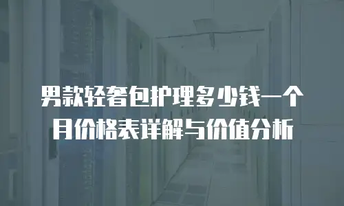 男款轻奢包护理多少钱一个月价格表详解与价值分析