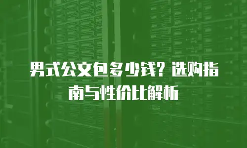 男式公文包多少钱？选购指南与性价比解析