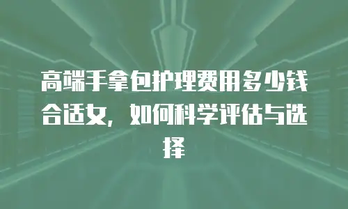 高端手拿包护理费用多少钱合适女，如何科学评估与选择