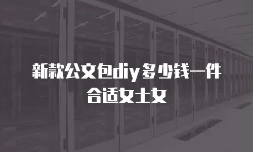 新款公文包diy多少钱一件合适女士女