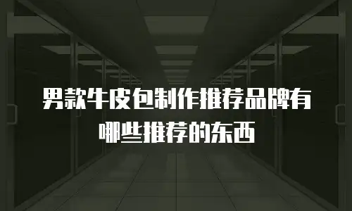 男款牛皮包制作推荐品牌有哪些推荐的东西