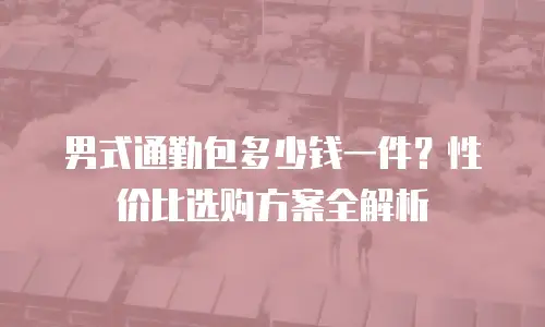 男式通勤包多少钱一件？性价比选购方案全解析