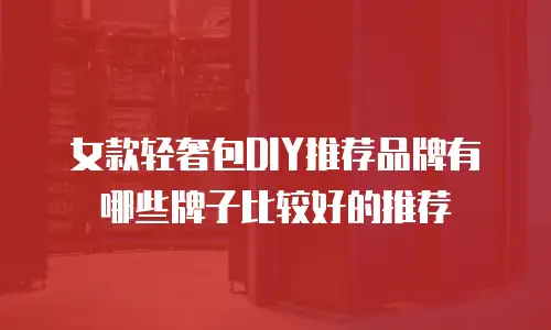 女款轻奢包DIY推荐品牌有哪些牌子比较好的推荐