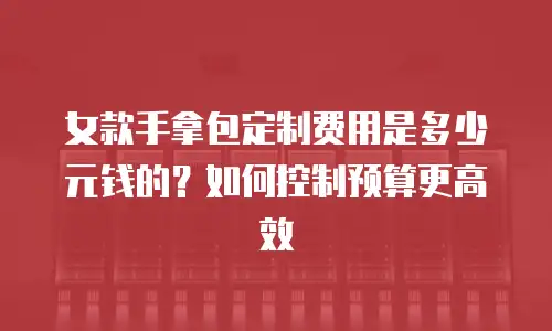 女款手拿包定制费用是多少元钱的？如何控制预算更高效