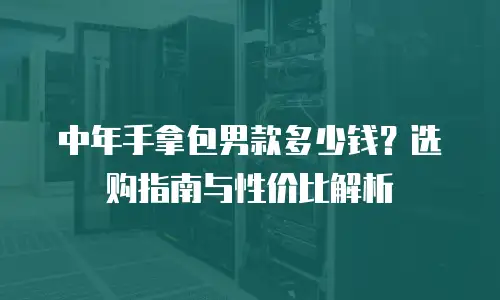 中年手拿包男款多少钱？选购指南与性价比解析