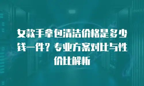 女款手拿包清洁价格是多少钱一件？专业方案对比与性价比解析