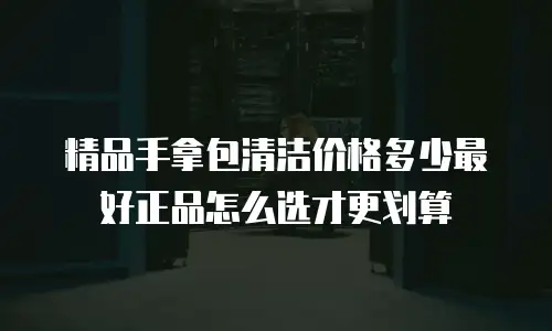 精品手拿包清洁价格多少最好正品怎么选才更划算