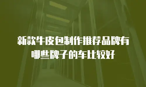 新款牛皮包制作推荐品牌有哪些牌子的车比较好
