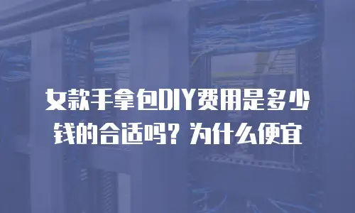 女款手拿包DIY费用是多少钱的合适吗？为什么便宜