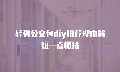 轻奢公文包diy推荐理由简短一点概括