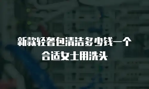 新款轻奢包清洁多少钱一个合适女士用洗头