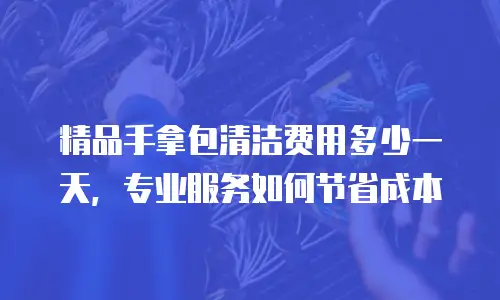 精品手拿包清洁费用多少一天，专业服务如何节省成本