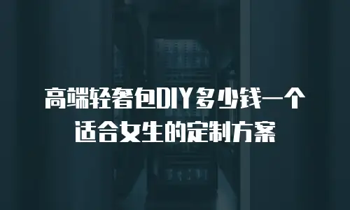 高端轻奢包DIY多少钱一个适合女生的定制方案