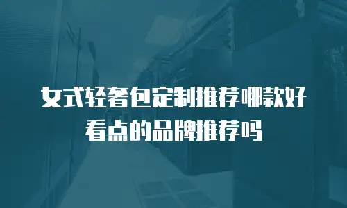 女式轻奢包定制推荐哪款好看点的品牌推荐吗