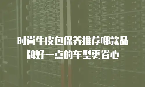 时尚牛皮包保养推荐哪款品牌好一点的车型更省心