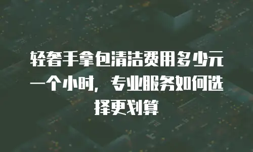 轻奢手拿包清洁费用多少元一个小时，专业服务如何选择更划算