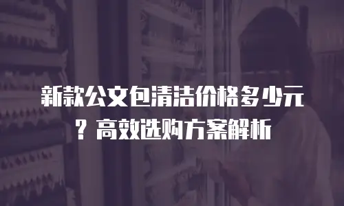 新款公文包清洁价格多少元？高效选购方案解析