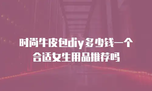 时尚牛皮包diy多少钱一个合适女生用品推荐吗