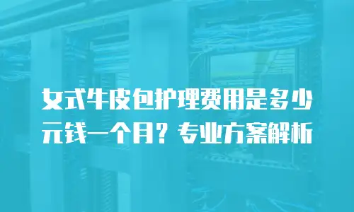 女式牛皮包护理费用是多少元钱一个月？专业方案解析