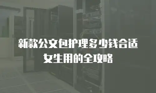 新款公文包护理多少钱合适女生用的全攻略