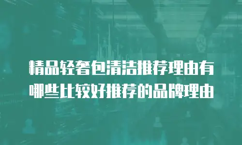 精品轻奢包清洁推荐理由有哪些比较好推荐的品牌理由