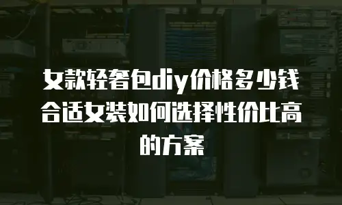 女款轻奢包diy价格多少钱合适女装如何选择性价比高的方案