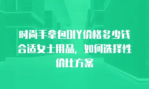 时尚手拿包DIY价格多少钱合适女士用品，如何选择性价比方案