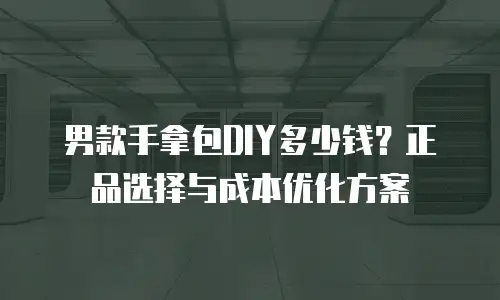 男款手拿包DIY多少钱？正品选择与成本优化方案