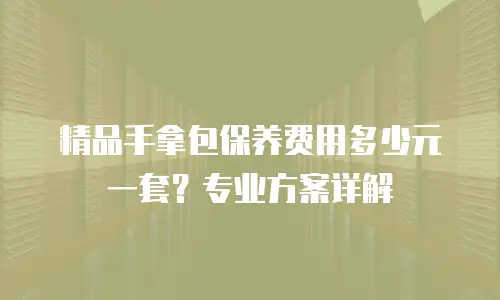 精品手拿包保养费用多少元一套？专业方案详解