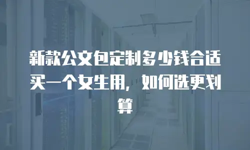 新款公文包定制多少钱合适买一个女生用，如何选更划算