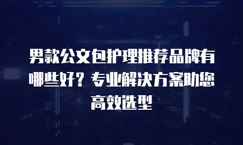 男款公文包护理推荐品牌有哪些好？专业解决方案助您高效选型