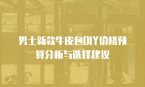 男士新款牛皮包DIY价格预算分析与选择建议