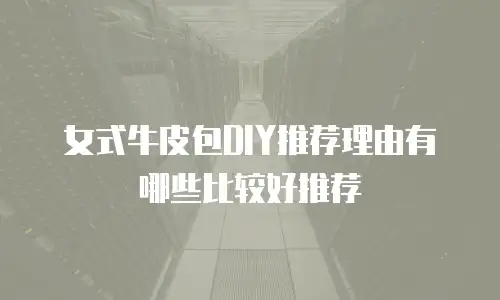 女式牛皮包DIY推荐理由有哪些比较好推荐