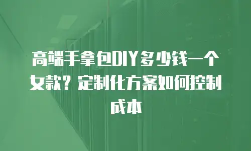 高端手拿包DIY多少钱一个女款？定制化方案如何控制成本