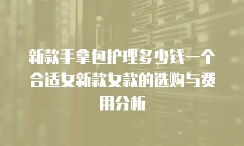 新款手拿包护理多少钱一个合适女新款女款的选购与费用分析