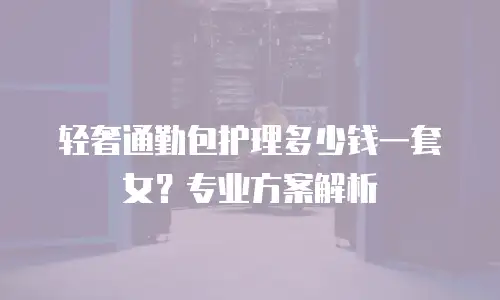 轻奢通勤包护理多少钱一套女？专业方案解析