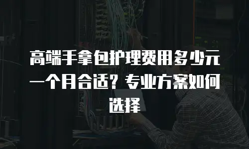 高端手拿包护理费用多少元一个月合适？专业方案如何选择