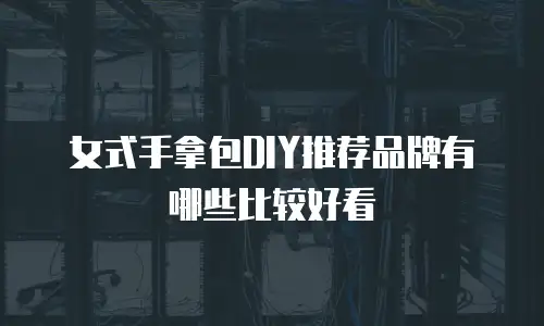 女式手拿包DIY推荐品牌有哪些比较好看