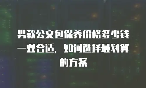男款公文包保养价格多少钱一双合适，如何选择最划算的方案