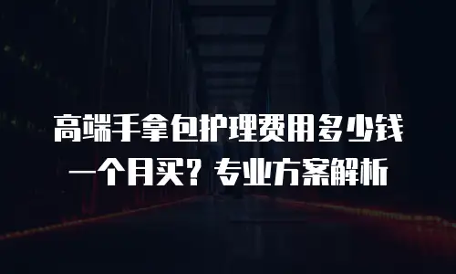 高端手拿包护理费用多少钱一个月买？专业方案解析