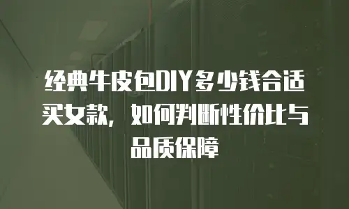 经典牛皮包DIY多少钱合适买女款，如何判断性价比与品质保障