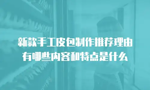 新款手工皮包制作推荐理由有哪些内容和特点是什么