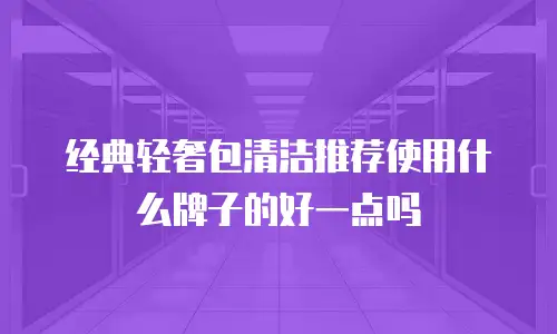 经典轻奢包清洁推荐使用什么牌子的好一点吗
