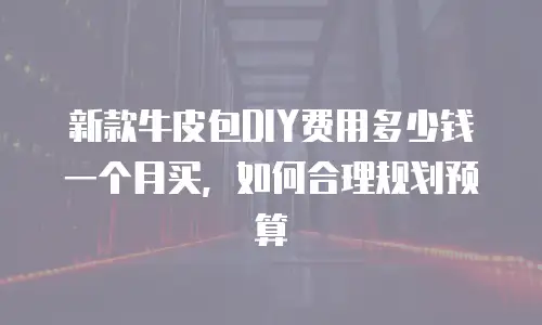 新款牛皮包DIY费用多少钱一个月买，如何合理规划预算