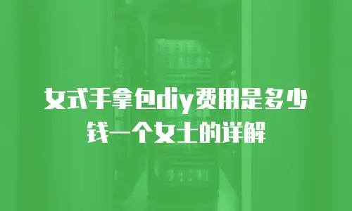 女式手拿包diy费用是多少钱一个女士的详解