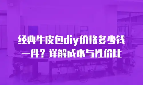 经典牛皮包diy价格多少钱一件？详解成本与性价比