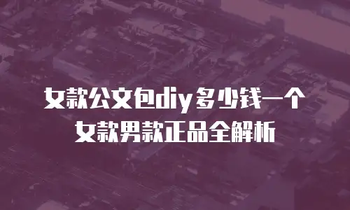 女款公文包diy多少钱一个女款男款正品全解析
