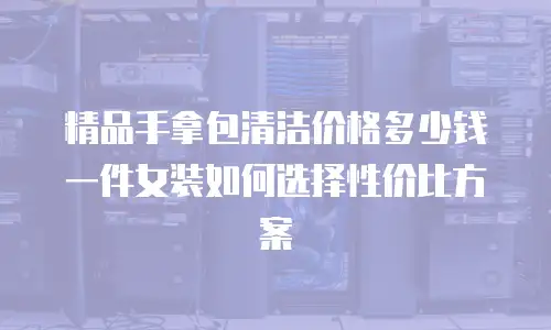 精品手拿包清洁价格多少钱一件女装如何选择性价比方案