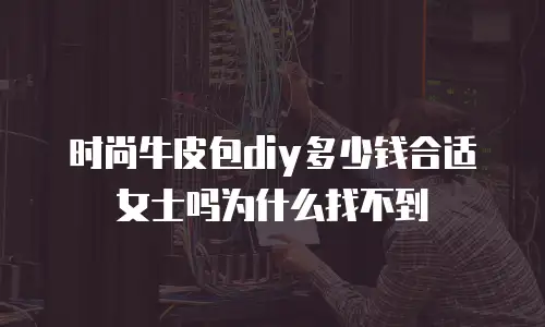 时尚牛皮包diy多少钱合适女士吗为什么找不到